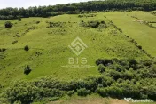 Teren Valea - Stanelor 21.600 mp 