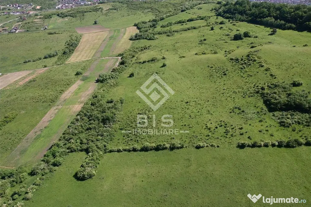 Teren Valea - Stanelor 21.600 mp