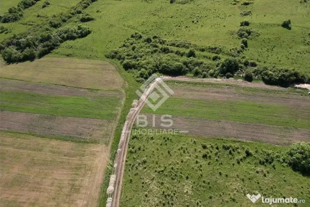Teren Valea - Stanelor 21.600 mp