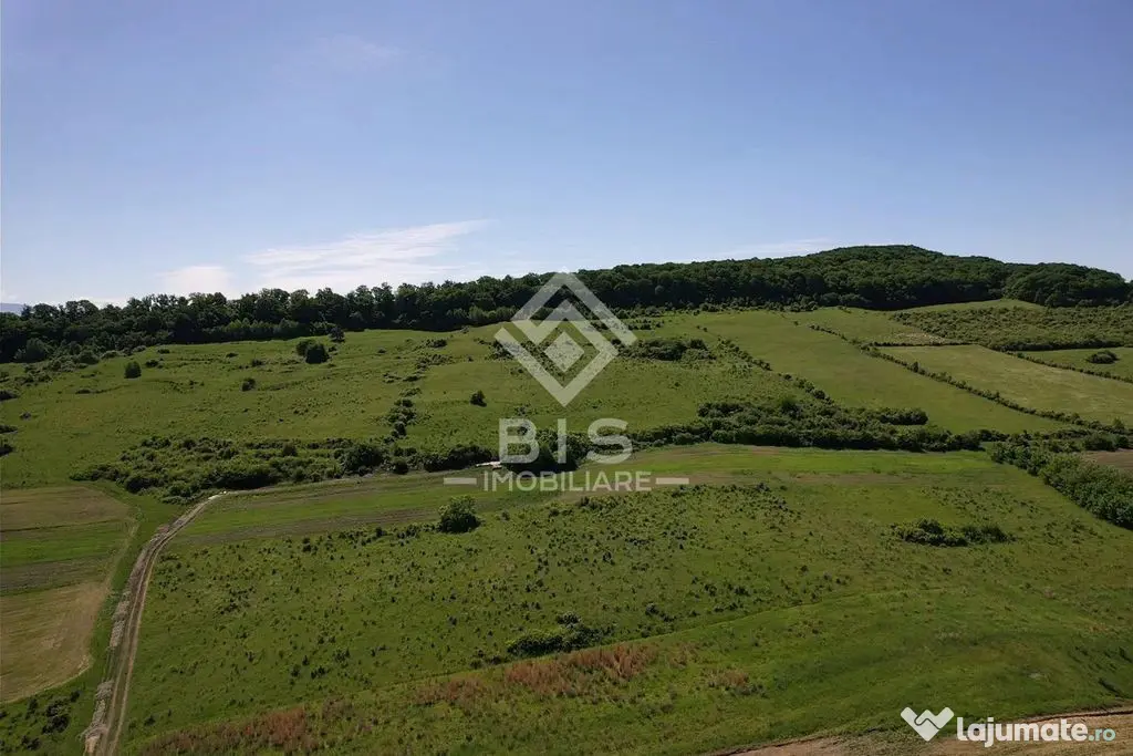 Teren Valea - Stanelor 21.600 mp