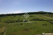 Teren Valea - Stanelor 21.600 mp 