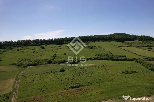 Teren Valea - Stanelor 21.600 mp
