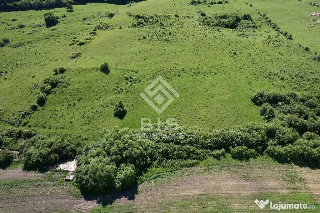 Teren Valea - Stanelor 21.600 mp