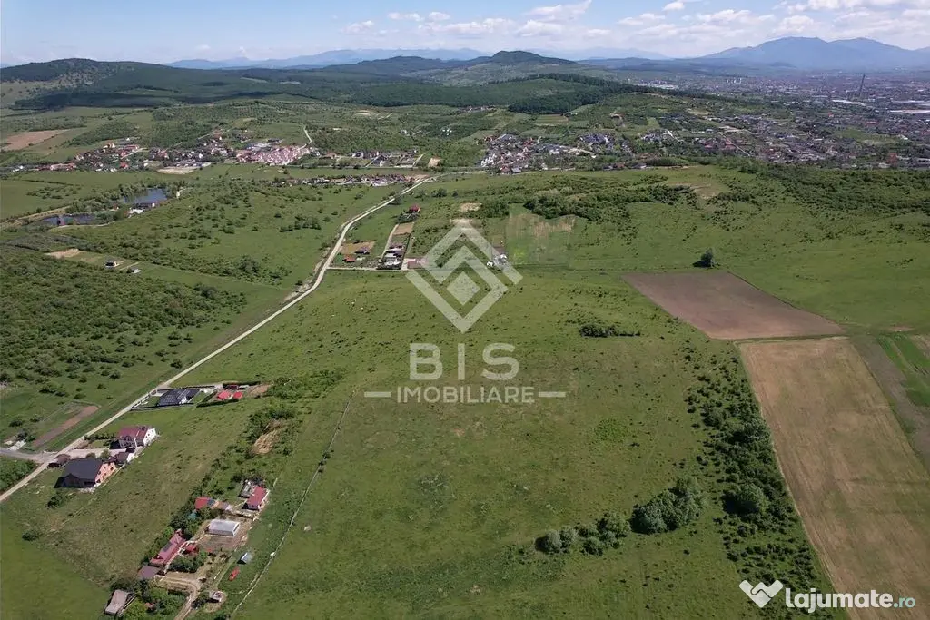 Teren Valea - Stanelor 21.600 mp