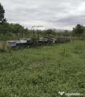 Ceara naturala de albine 