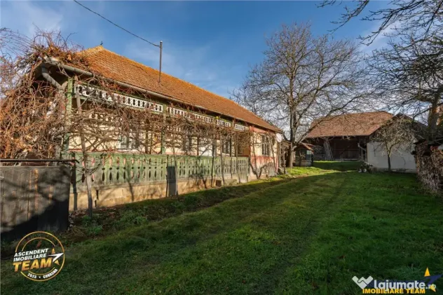 FILM! Domeniu de 6.221mp, livada pomi fructiferi casa si ane