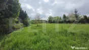 Teren intravilan 2293 mp de vânzare | Valea Jelnei 
