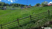 Teren Fundata - 2756 mp 