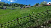 Teren Fundata - 2756 mp 