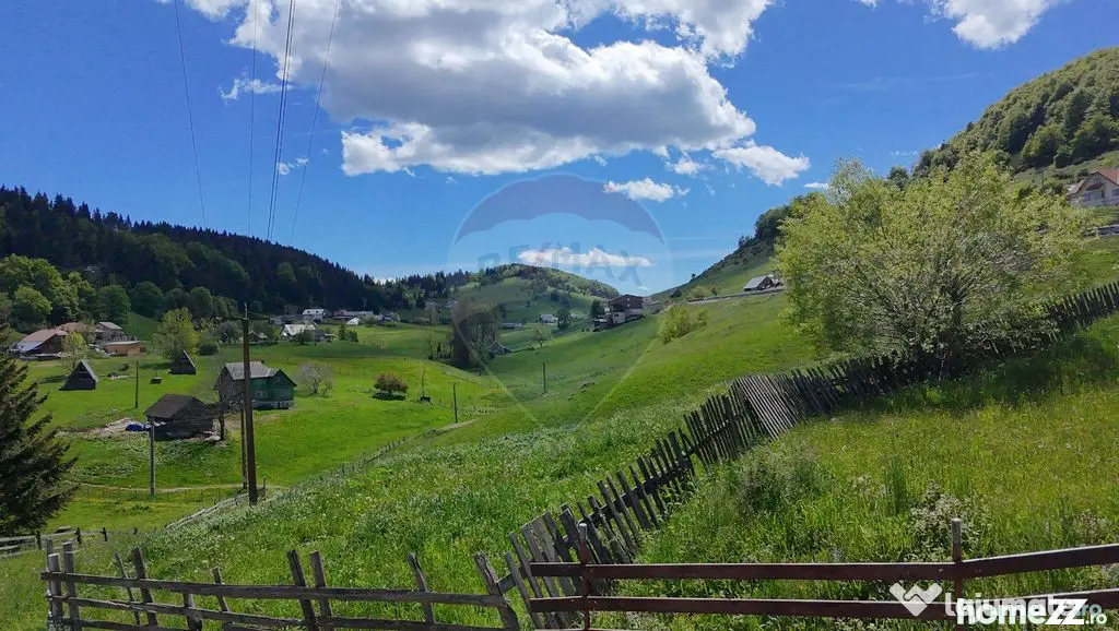 Teren Fundata drum principal - 2756 mp - Fundata (Brasov)