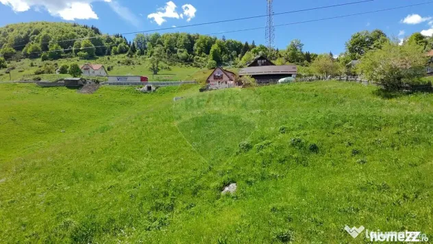 Teren Fundata drum principal - 2756 mp - Fundata (Brasov)