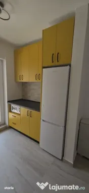 Berceni metrou biruintei 85 studio cu gradina 