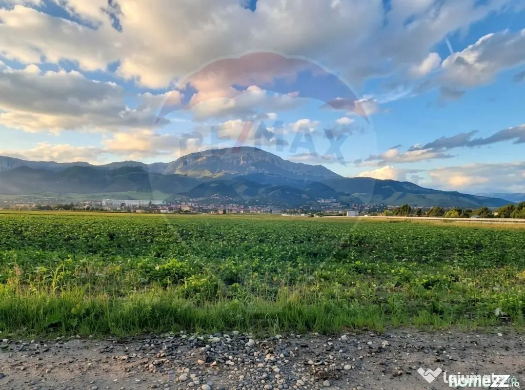 Teren extravilan Codlea, 6193mp, deschidere la DN1 de 51m... - Codlea (Brasov)