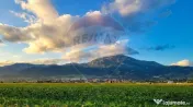 Teren extravilan Codlea, 6193mp, deschidere la DN1 de 51m... 