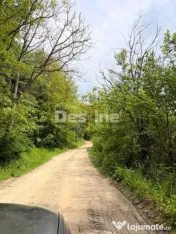 ???? PĂDURE DE VÂNZARE – 17 HA – VALEA MARE, COMUNA B? 