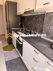 Apartament 3 camere de inchiriat Apusului București | ApexI 