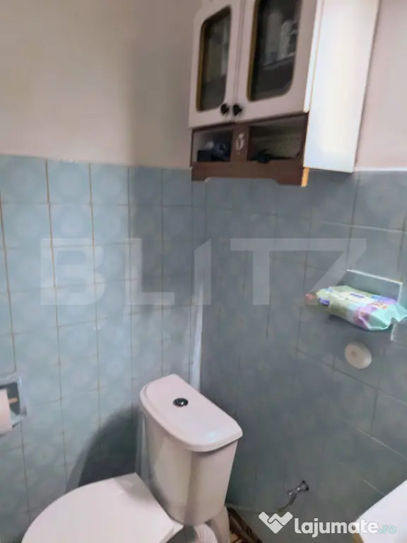 CASA DE VANZARE, IN CENTRUL DEJULUI CU GRADINA IMPRESIONANTA