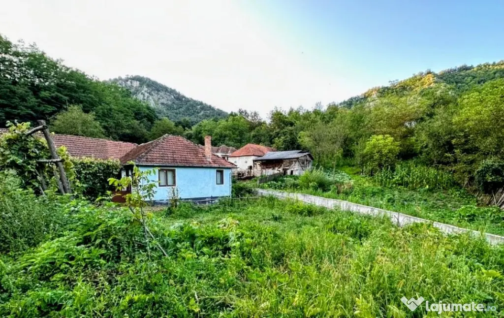 Casă de la țară cu piscina