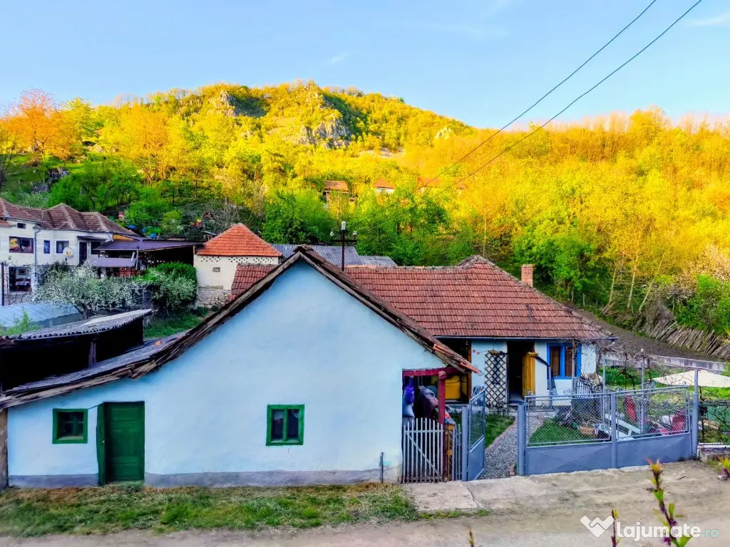 Casă la țară cu piscina încălzită Boiu De Sus, Hunedoara