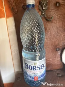Vand tuica de prune curata din anul 2009