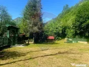 Casă / Vilă 10 camere Lepsa 