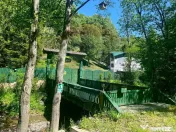 Casă / Vilă 10 camere Lepsa 