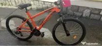 Bicicleta MOUNTAIN BIKE