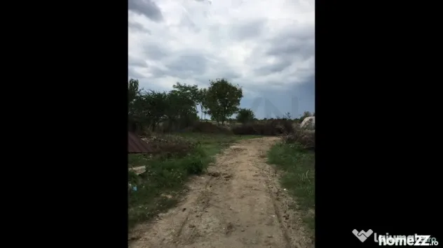 Teren Ciolpani - Piscu - loturi intre 968 mp si 974 mp