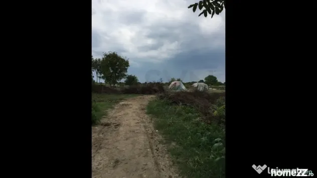 Teren Ciolpani - Piscu - loturi intre 968 mp si 974 mp