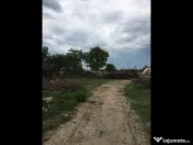 Teren Ciolpani - Piscu - loturi intre 968 mp si 974 mp