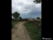 Teren Ciolpani - Piscu - loturi intre 968 mp si 974 mp