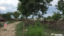 Teren Ciolpani - Piscu - loturi intre 968 mp si 974 mp