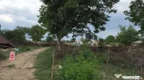 Teren Ciolpani - Piscu - loturi intre 968 mp si 974 mp