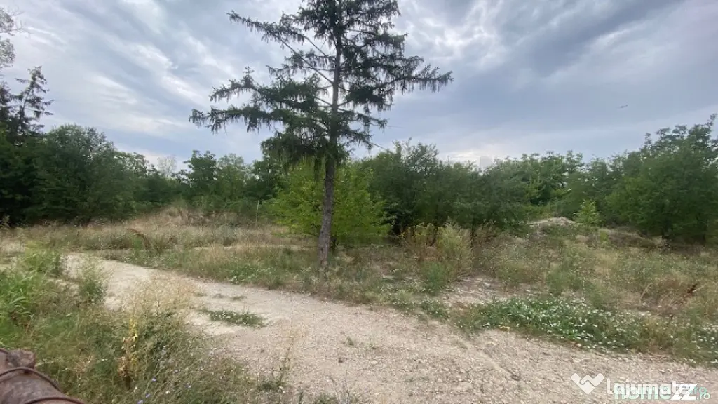 Teren 10 ha langa Kaufland si Crevedia Retail Park