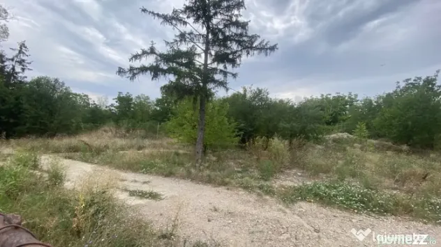 Teren 10 ha langa Kaufland si Crevedia Retail Park