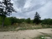 Teren 10 ha langa Kaufland si Crevedia Retail Park