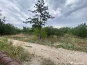 Teren 10 ha langa Kaufland si Crevedia Retail Park