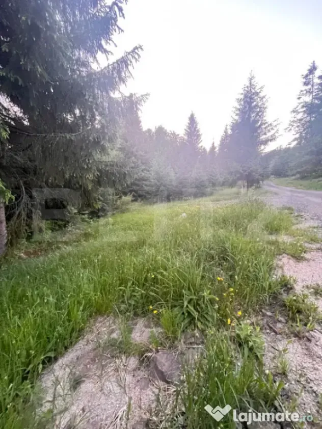 Teren intravilan PARCELABIL de vânzare – Colibița