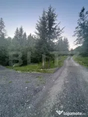 Teren intravilan PARCELABIL de vânzare – Colibița 