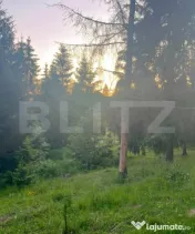 Teren intravilan PARCELABIL de vânzare – Colibița 