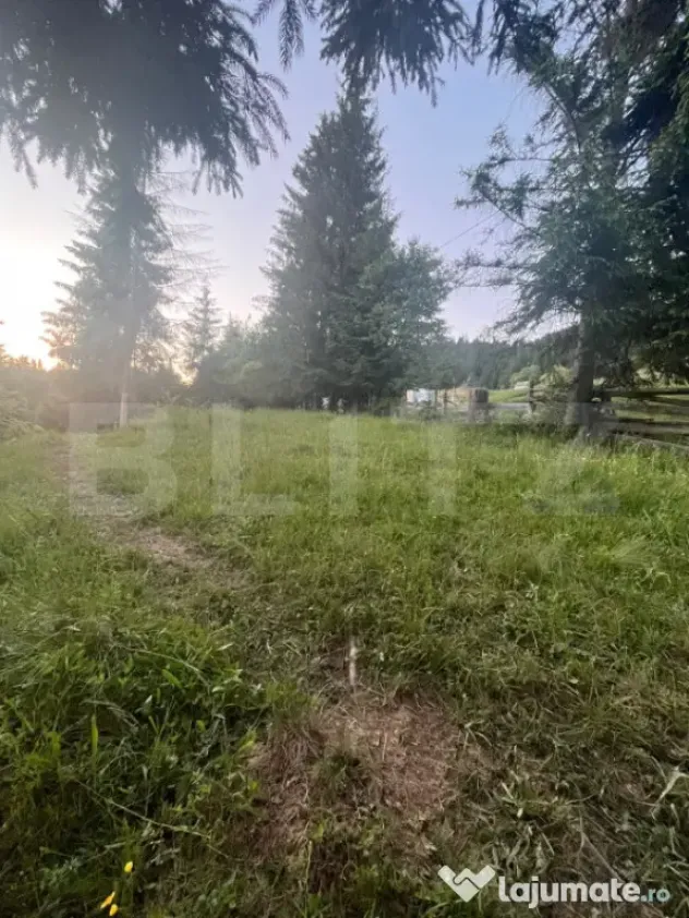 Teren intravilan PARCELABIL de vânzare – Colibița
