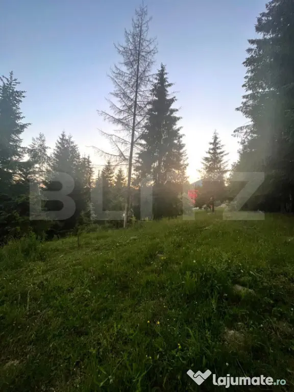 Teren intravilan PARCELABIL de vânzare – Colibița