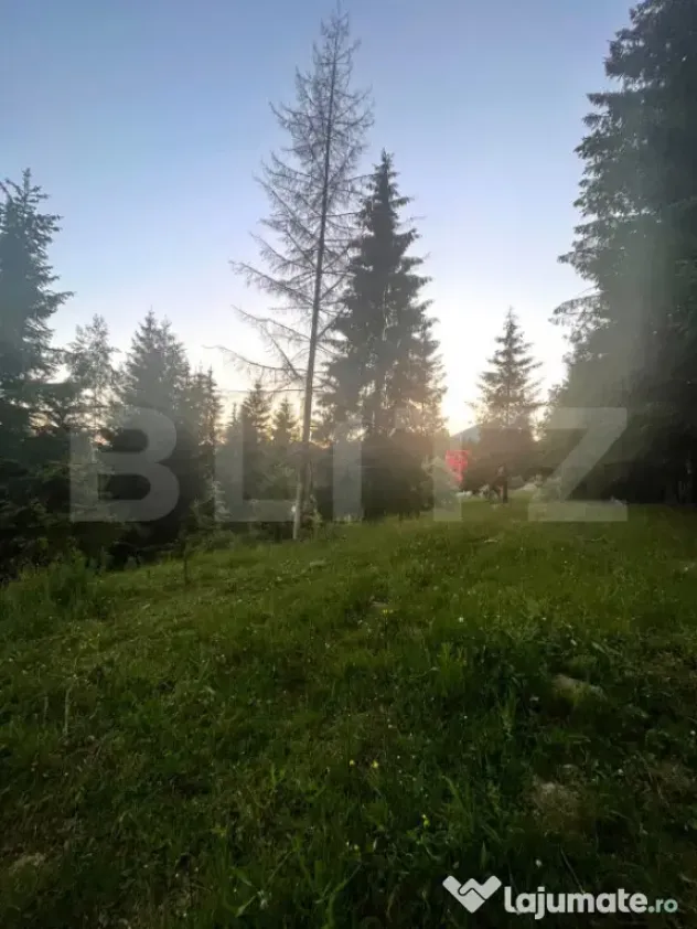 Teren intravilan PARCELABIL de vânzare – Colibița