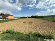 Teren de vanzare in Magura Bacau 