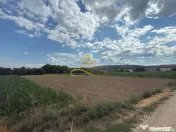 Teren de vanzare in Magura Bacau 