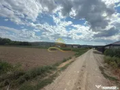 Teren de vanzare in Magura Bacau 