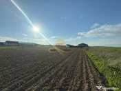 Teren de vanzare in Magura Bacau