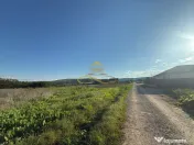 Teren de vanzare in Magura Bacau