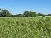 parcele teren extravilan 