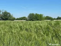 parcele teren extravilan 